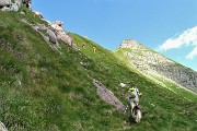 55 Salendo dal Passo di Valsanguigno-W in vetta al Pizzo Farno 